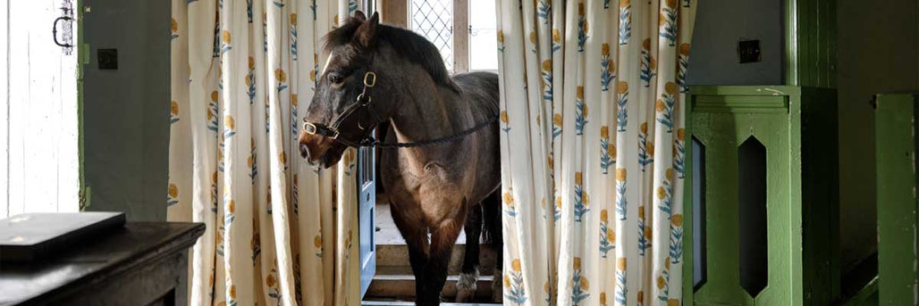 Molly Mahon at Callie Coles