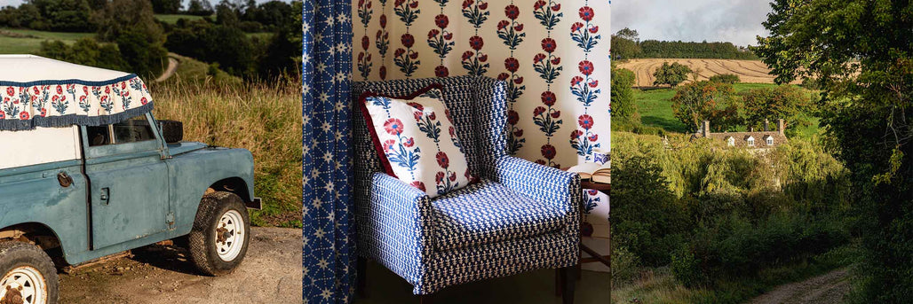 The Romance Of Dianthus