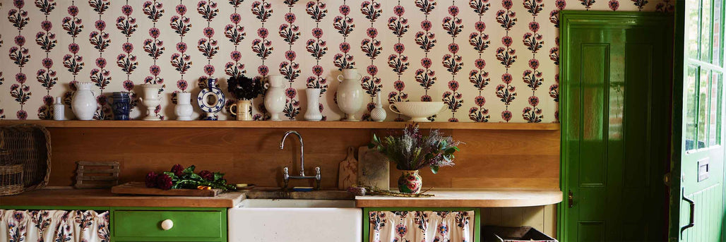 New Dianthus Wallpaper