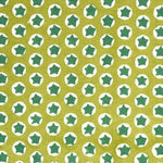 Tuk Tuk Block printed Fabric Cotton Green Sample