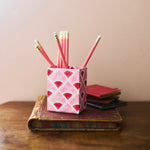 Pen Pot Kite Red Pink